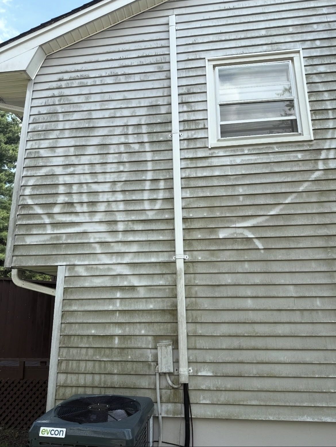 Pure Blue house washing before service