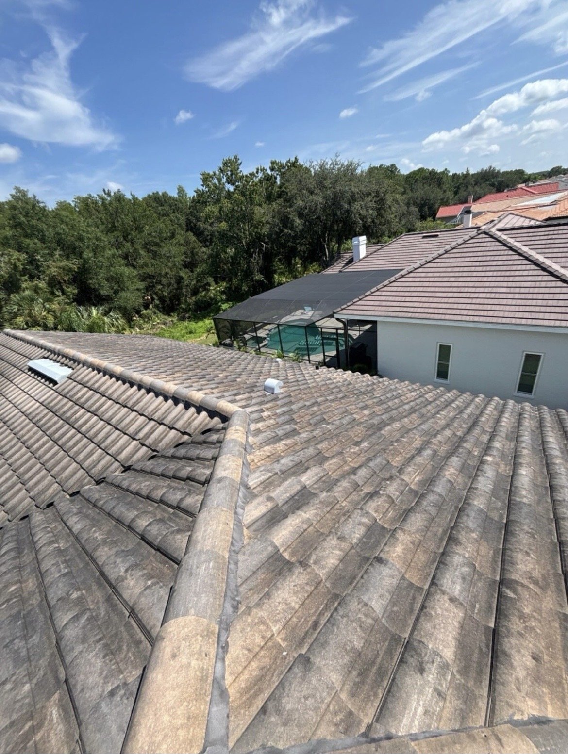 Pure Blue roof cleaning before service