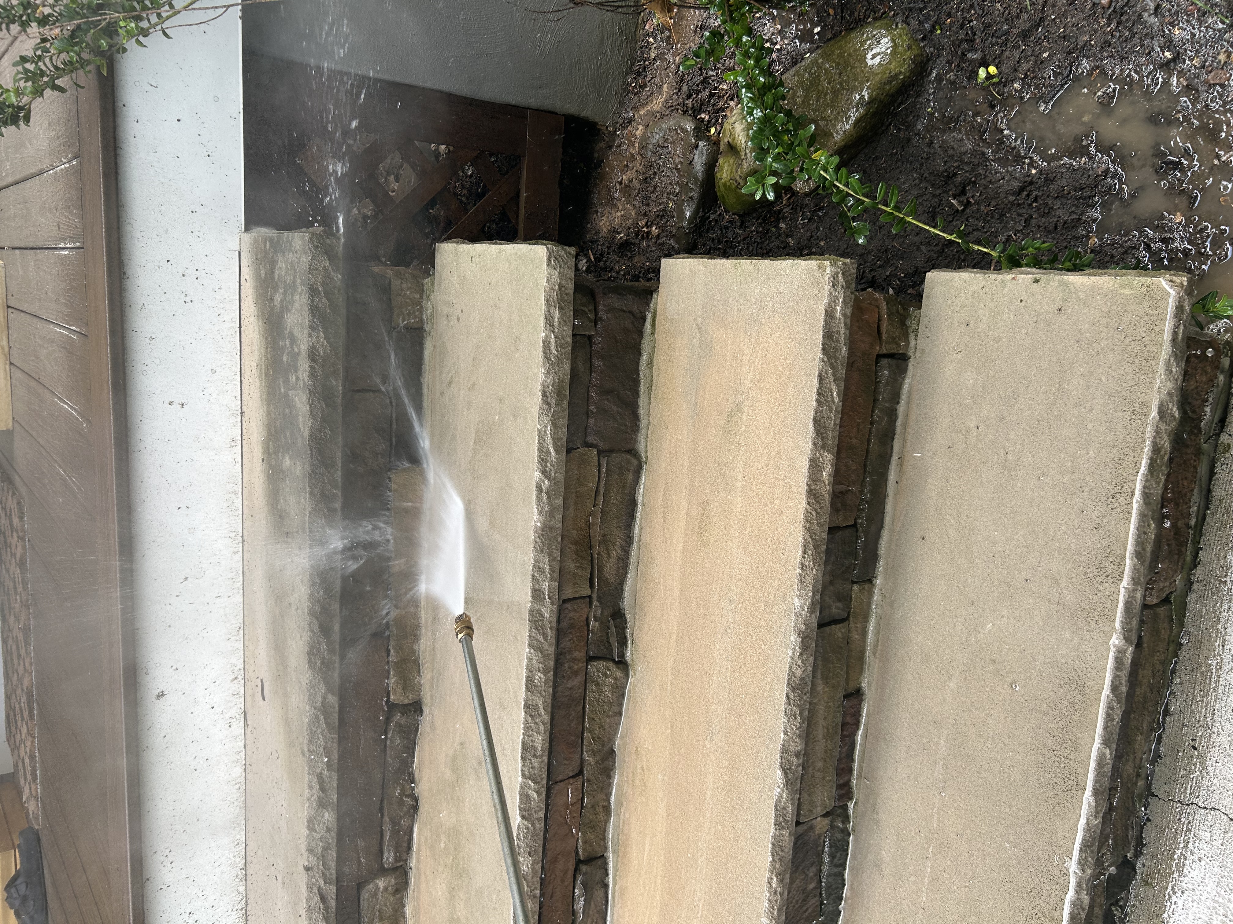 Professional pressure washing service